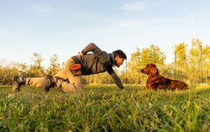 cane setter irlandese in posizione di terra con addestratore cinofilo