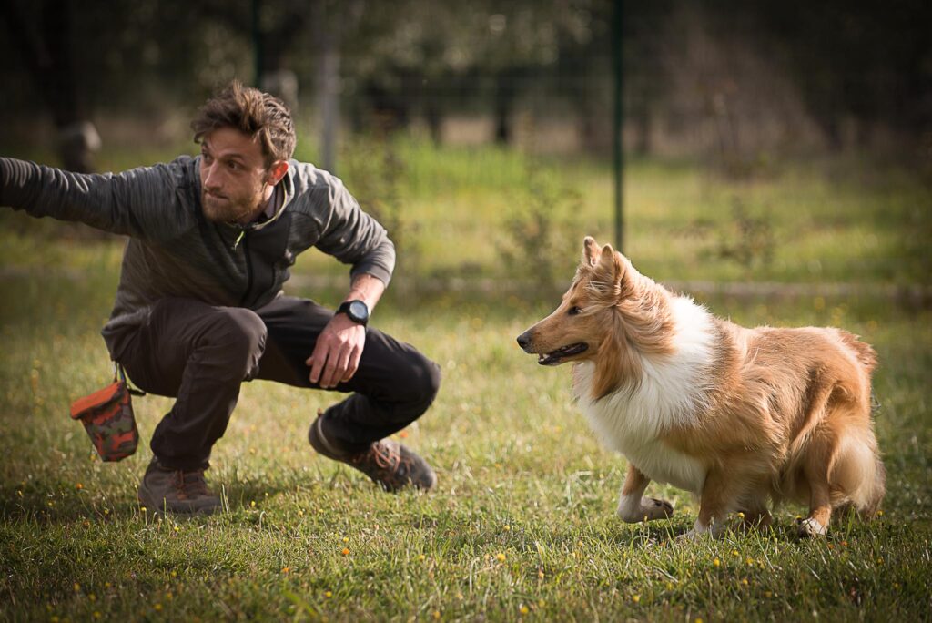 Io e Sirio, il mio cane durante una sessione di addestramento attraverso l'utilizzo del gioco.